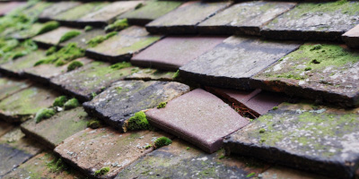 Alford roof repair costs